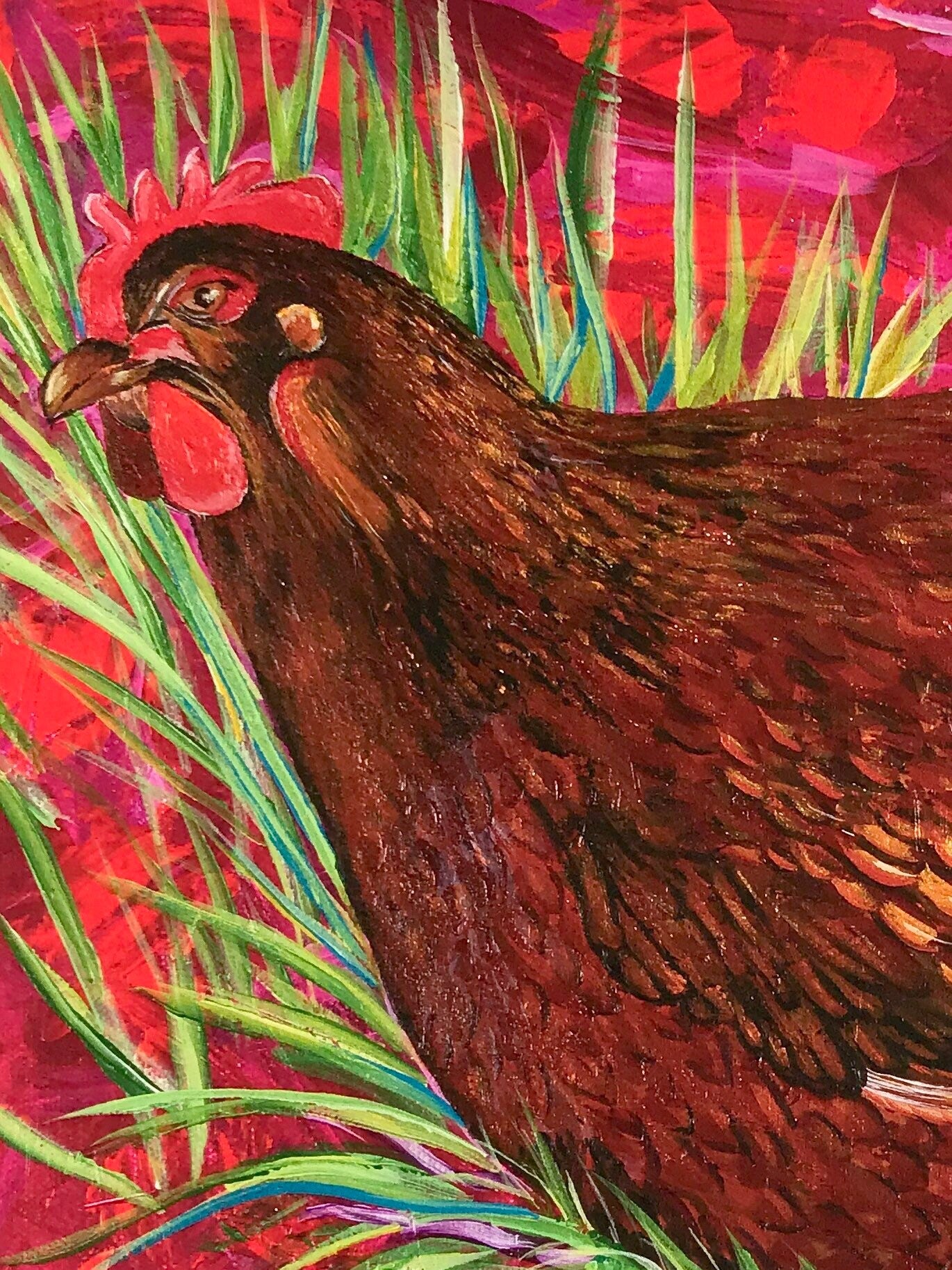 11x14 PRINT Rhode Island Red Hen with pink background. Bright Color Gallina