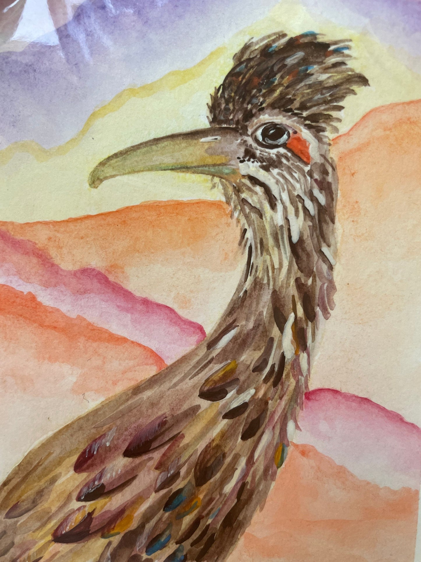 6x8 Watercolor Roadrunner on 184lb paper with white matting for an 8x10